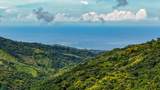  Uvita, San Josecito Road - Photo 2