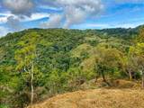  Uvita, San Josecito Road - Photo 21