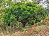  Uvita, San Josecito Road - Photo 23