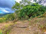  Uvita, San Josecito Road - Photo 24