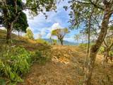  Uvita, San Josecito Road - Photo 25