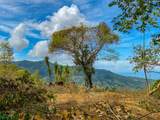 Uvita, San Josecito Road - Photo 26