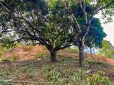  Uvita, San Josecito Road - Photo 27