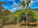  Uvita, San Josecito Road - Photo 28