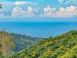  Uvita, San Josecito Road - Photo 3