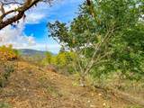  Uvita, San Josecito Road - Photo 30