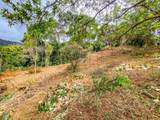  Uvita, San Josecito Road - Photo 31