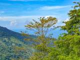  Uvita, San Josecito Road - Photo 32
