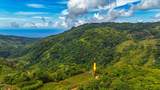  Uvita, San Josecito Road - Photo 36