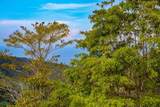  Uvita, San Josecito Road - Photo 37