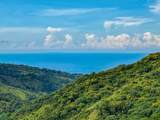  Uvita, San Josecito Road - Photo 4