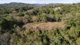Emerald Woods Ocean-View Lot In Playa Marbella - Photo 11