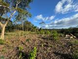Emerald Woods Ocean-View Lot In Playa Marbella - Photo 12