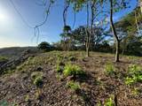 Emerald Woods Ocean-View Lot In Playa Marbella - Photo 13