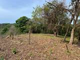Emerald Woods Ocean-View Lot In Playa Marbella - Photo 5