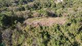 Emerald Woods Ocean-View Lot In Playa Marbella - Photo 7