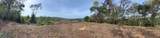 Emerald Woods Ocean-View Lot In Playa Marbella - Photo 8