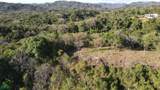 Emerald Woods Ocean-View Lot In Playa Marbella - Photo 9