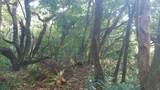  Heredia - Photo 4