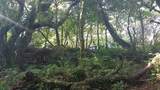  Heredia - Photo 8