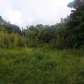  San Rafael Heredia - Photo 5