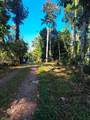  Punta Uva - Photo 2