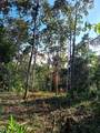 Punta Uva - Photo 3