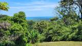  Uvita - Photo 4