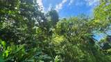  Uvita - Photo 5