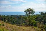  Uvita - Photo 2