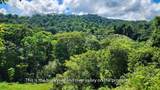  Uvita - Photo 7