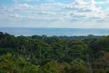  Uvita - Photo 9