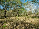  Bosque Escondido, Playa Avellanas - Photo 11