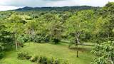 Finca Macadamia Bijagua - Photo 11