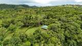 Finca Macadamia Bijagua - Photo 13