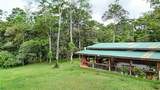 Finca Macadamia Bijagua - Photo 14