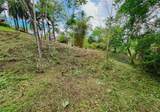  Build-Ready Lot For Sale in Ojochal &ndash; Phase 9 - Photo 2