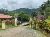  Build-Ready Lot For Sale in Ojochal &ndash; Phase 9 - Photo 3