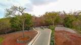  Luxury Private Lot - Photo 4