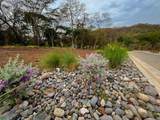  Luxury Private Lot - Photo 7