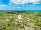  Pura Jungla Lots, Playa Negra - Photo 13