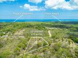  Pura Jungla Lots, Playa Negra - Photo 14