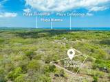  Pura Jungla Lots, Playa Negra - Photo 6