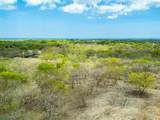  Pura Jungla Lots, Playa Negra - Photo 8