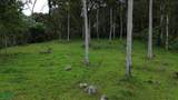  La Dominica - Photo 10