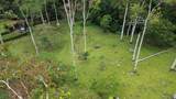  La Dominica - Photo 3