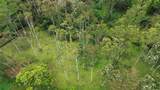  La Dominica - Photo 4