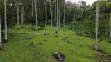  La Dominica - Photo 8