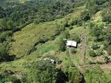 Guayabo - Photo 1