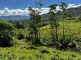  Guayabo - Photo 10